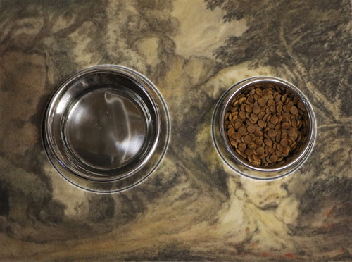 Master's Series Immovable Pet Bowl - Genoels' Natural Bridge