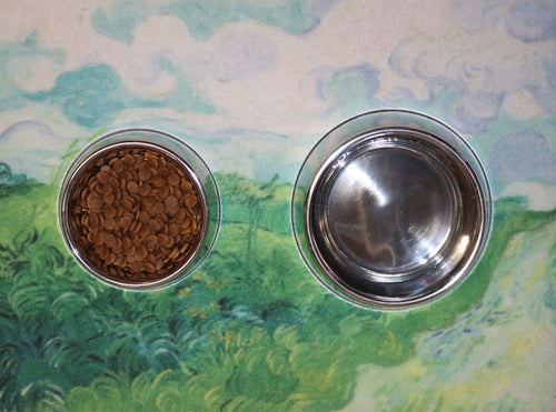 Master's Series Immovable Pet Bowl - vanGogh's Wheat Fields